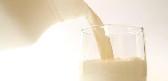 Mleko – wszystko co chcesz wiedzieć, ale boisz się zapytać